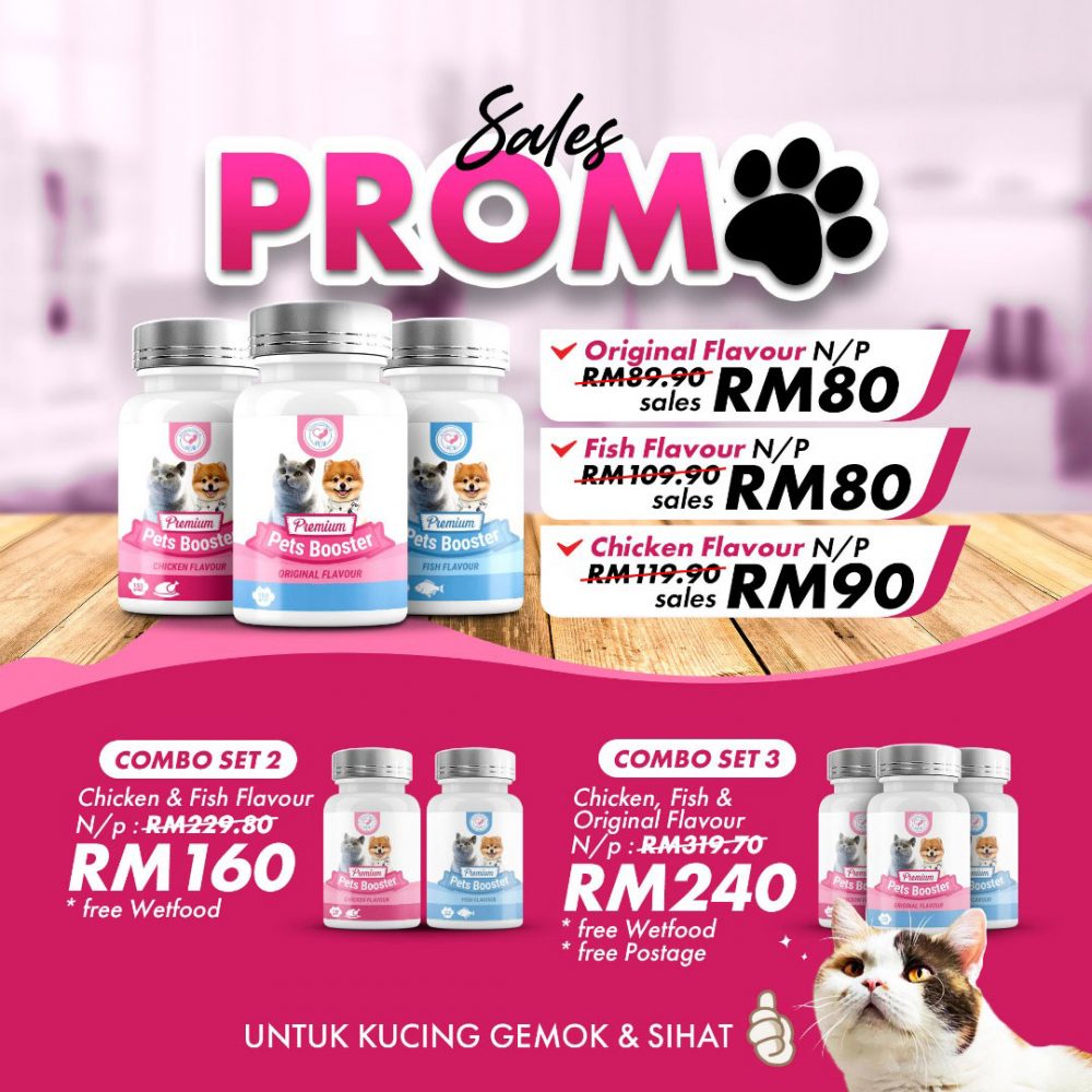 Premium-cat-8